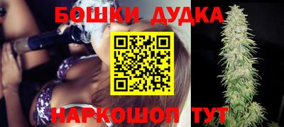 индика Заводоуковск