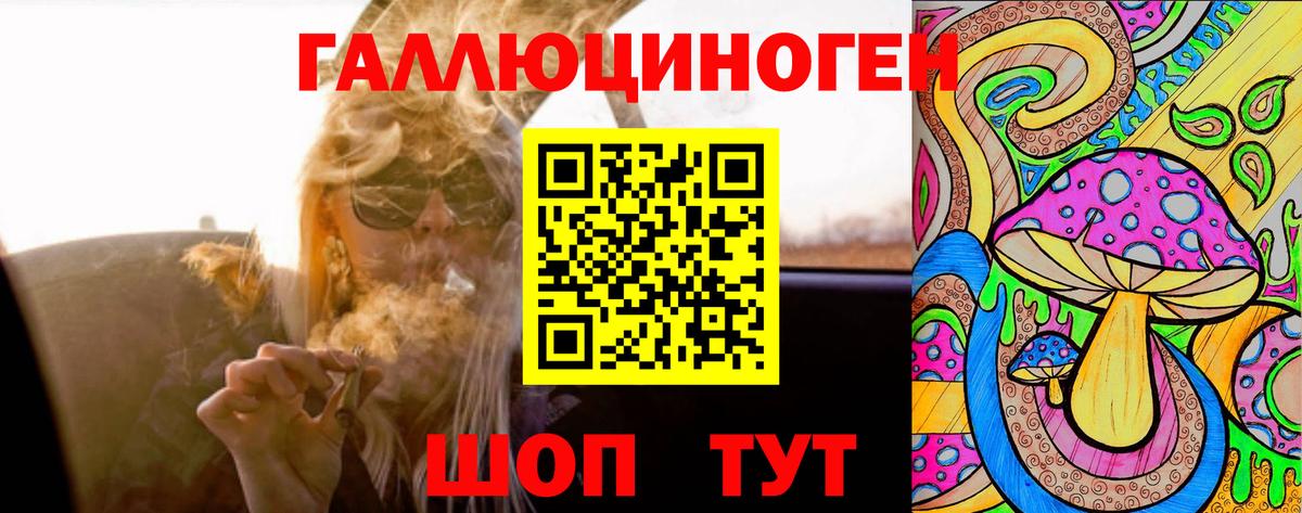 Галлюциногенные грибы Psilocybine cubensis Людиново